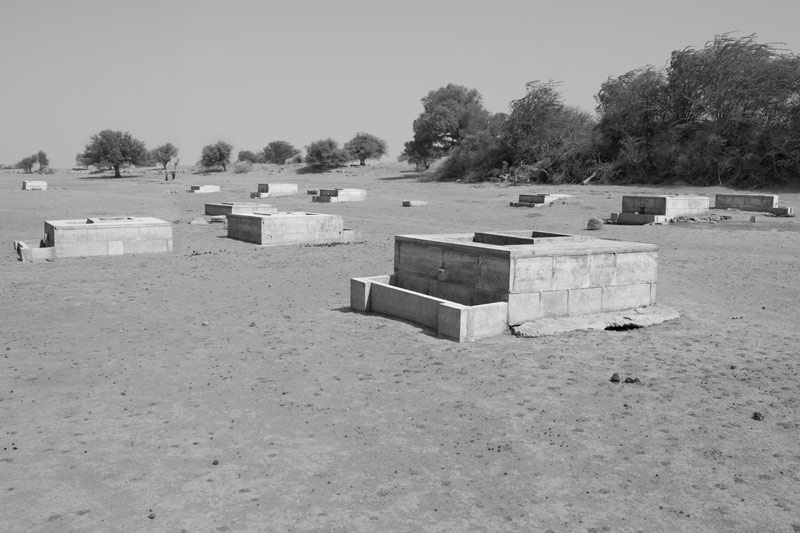 Nature-based solution for quenching thirst in the driest place of India - Viprasar, a rainfed pond in Thar Desert, Jaisalmer district, Rajasthan,  turned into a 'taanda' with 'beris'(i.e., cluster of shallow wells) after drying up of the surface water